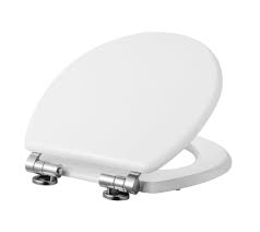 Fresssh Toilet Seat  