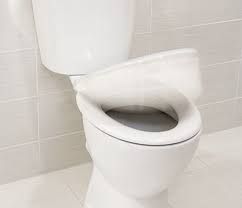 Toilet Seats, Strabane Wholesales Ltd, Strabane, Co. Tyrone