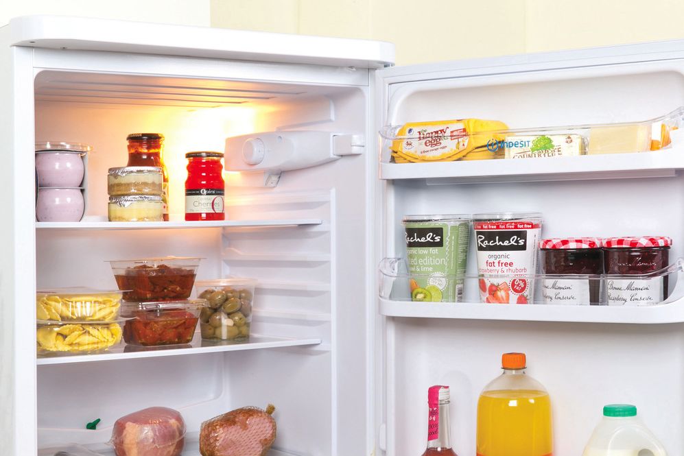 INDESIT Freestanding fridge freezer - IBD5517B