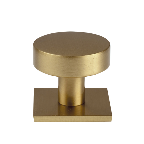 Knob on backplate - brushed satin brass